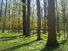 Belogorye Zapovednik