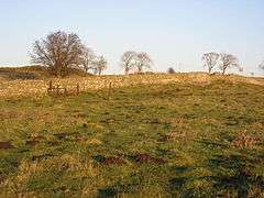 Milecastle 31