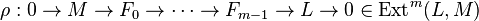 \rho : 0 \rightarrow M \rightarrow F_0\rightarrow \cdots \rightarrow F_{m-1} \rightarrow L \rightarrow 0 \in \operatorname{Ext}^m(L, M)