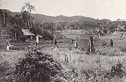 A rural setting showing a cleared flat area in front of densely vegetated high ground in the distance. A plantation house is visible in the middle ground