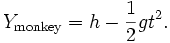 Y_{\rm monkey} = h - \frac{1}{2}gt^2.