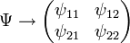 
\Psi \rightarrow 
 \begin{pmatrix}
  \psi_{11} & \psi_{12} \\ \psi_{21} & \psi_{22}
\end{pmatrix}
