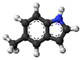 Ball-and-stick model of the 5-methylindole molecule