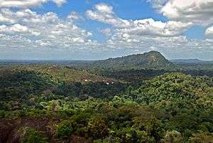 Densely wooded mountain landscape.