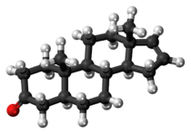 Ball-and-stick model of the androstenone molecule