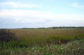 Anhinga Trail