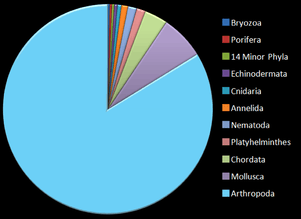 pie chart showing arthropoda with 90 percent of phylum