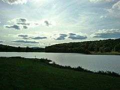 Arctic Lake at Oquaga Creek State Park.