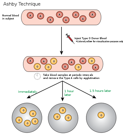 Ashby Technique Visual Representation.