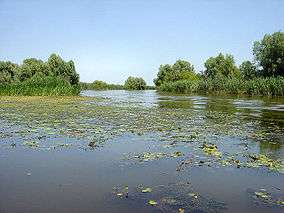 Astrakhan, Volga Delta