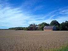 Autumn Soybean fields awaiting harvest in Blackford County