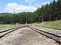 Avramovo Railway Station 2013 03.JPG