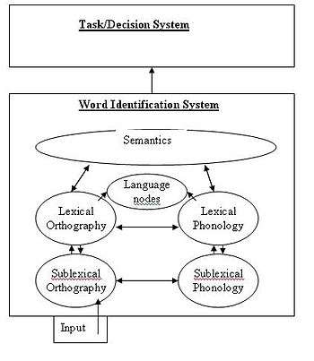 A flow chart representation of the BIA+ model for bilingual language processing including the word identification and task/decision subsystems.