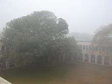 Two-story building around quadrangle, with two large trees