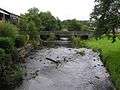 Ballinamallard River - geograph.org.uk - 1382951.jpg