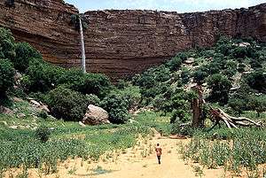 A view of a small, grassy field in front of a row of trees. A large ledge made of rock fills the background while a small waterfall emerges from the centre-left of its top.