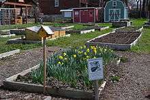 Bell Demonstration and Community Garden, Gateway Greening, St. Louis, MO.