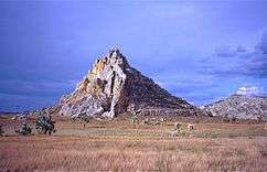 Grassy plain with isolated palms and a rocky outcrop in the background