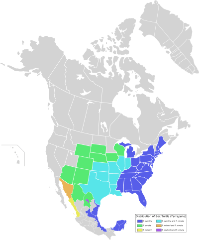 Distribution map