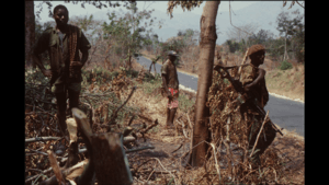 three soldiers in a wood by roadside with machine gun