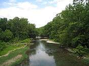 Shallow, tree-lined river