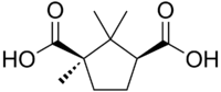 Skeletal formula of camphoric acid