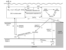 The oceanic biospheric carbon cycle