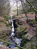 Chain Bridge Hafod Estate - geograph.org.uk - 1244797.jpg