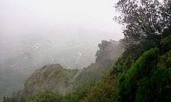 view of Chauli ki jali at Mukteshwar