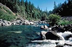 A large, rushing stream with rocks strewn in and around it. Gravel and sparse vegetation cover its steep banks, and conifers grow on the hills above.