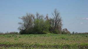 Chickasawba Mound (3M55)