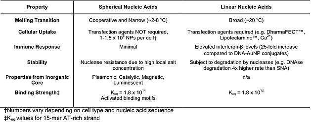 Properties of Spherical Nucleic Acids versus Linear Nucleic Acids alt text