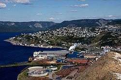 Corner Brook from above