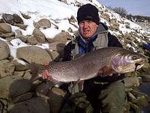 Photo of man hold a very large trout