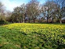 Cassiobury Park