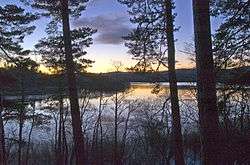 Dawn at Loch Davan