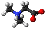 Ball-and-stick model of the dimethylglycine molecule as a zwitterion