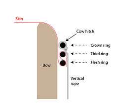 Schematic of three-ring skin mounting