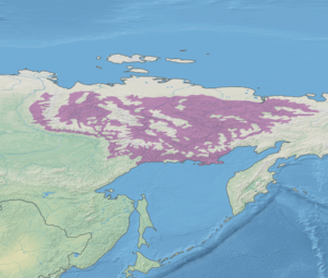 Ecoregion territory (in purple)