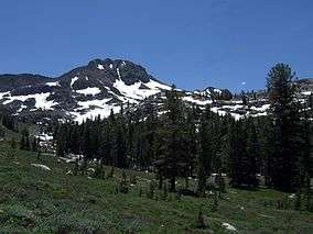 Mountains and forest along the trail to Winnemucca Lake.