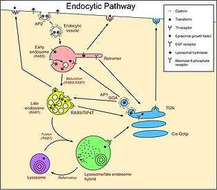 This is crucial for a lot of disease pathways