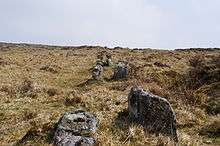 A double line of stones leading into the distance