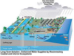 Color digital illustration of future water supply and management proposed by the Comprehensive Everglades Restoration Plan: some agricultural areas have been restored to their natural state, more wells are dug into the Floridan aquifer, and levee borders are present between the Everglades and South Florida Metropolitan Area