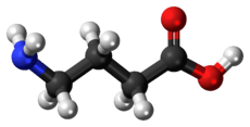 GABA molecule