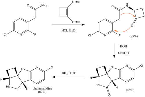 A Synthesis of phantasmidine starting at the essential step.