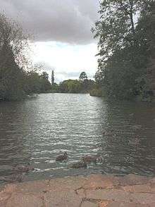 linear lake with submerged limestone paving visible in foeground and large trees at the far end.  There are ducklings.