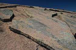 granite rock with weathered exfoliation Enchanted Rock State Natural Area, Texas