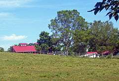 View of farm buildings behind field from south fence