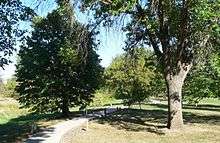 Path winding through large trees set in short-grass park; small signs by trees