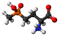 Ball-and-stick model of the glufosinate zwitterion